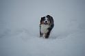 DSC_0048 (2)